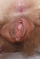 ATK hairy Ivy Addams Set