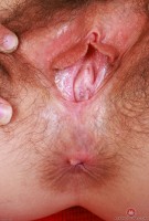 ATK hairy Jackie Hoff Set