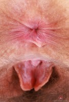 ATK hairy Jackie Hoff Set