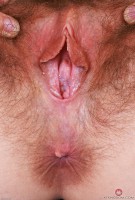 ATK hairy Jackie Hoff Set