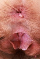 ATK hairy Jackie Hoff Set