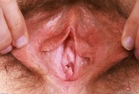 ATK hairy Jackie Hoff Set