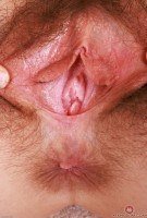 ATK hairy Jackie Hoff Set