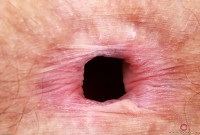 ATK hairy Jackie Hoff Set