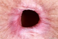 ATK hairy Jackie Hoff Set