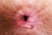 ATK hairy Jackie Hoff Set