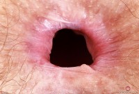 ATK hairy Jackie Hoff Set