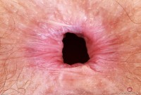 ATK hairy Jackie Hoff in mature and hairy