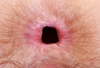 ATK hairy Jackie Hoff Set