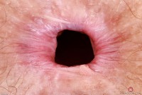 ATK hairy Jackie Hoff Set