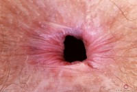 ATK hairy Jackie Hoff Set