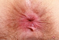 ATK hairy Jackie Hoff Set