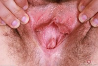 ATK hairy Jackie Hoff Set