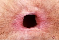 ATK hairy Jackie Hoff Set