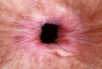 ATK hairy Jackie Hoff Set