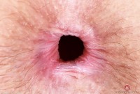 ATK hairy Jackie Hoff Set