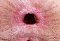 ATK hairy Jackie Hoff in mature and hairy