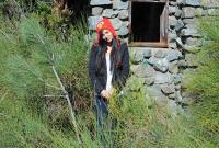 ATK hairy Zoey Kush Set