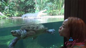 ATK Aunt Judys Jamie Marleigh in Virtual vacation