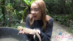 ATK Aunt Judys  in Virtual vacation