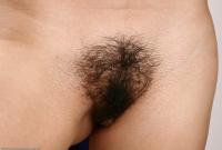 ATK hairy Janelle Set