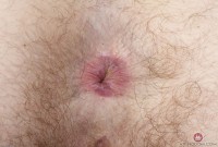 ATK hairy Jane Vervain in mature and hairy