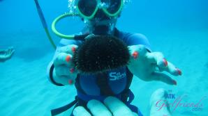 ATK Aunt Judys  in Virtual vacation