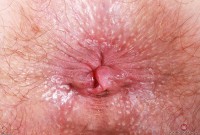 ATK hairy Jessica Marie Set