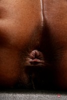 ATK hairy  in exotic and hairy