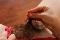 ATK hairy  in scary hairy