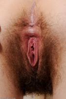 ATK hairy  in scary hairy