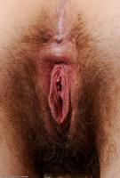 ATK hairy Joe Set