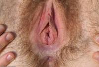 ATK hairy  in scary hairy