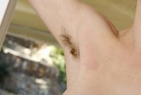 ATK hairy Joe in scary hairy