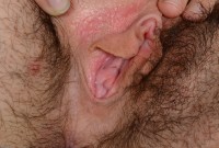 ATK hairy Joey Minx Set