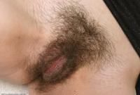 ATK hairy  in exotic and hairy