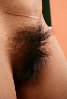 ATK hairy Joslin Set