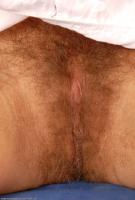 ATK hairy Judith Set