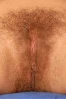 ATK hairy Judith Set