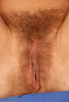 ATK hairy Judith Set