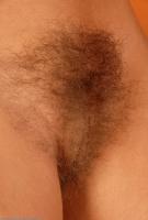 ATK hairy Judith Set