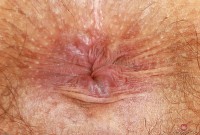 ATK hairy Juliette March Set