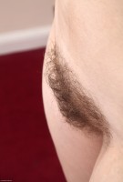 ATK hairy Kady Set