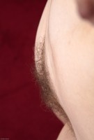 ATK hairy Kady Set