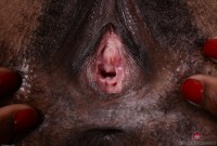 ATK hairy Kahlista Stonem Set