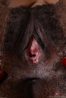 ATK hairy Kahlista Stonem Set