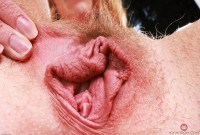 ATK hairy Kallie Taylor Set