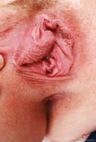 ATK hairy Kallie Taylor Set