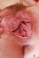 ATK hairy Kallie Taylor Set