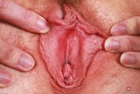 ATK hairy Kallie Taylor Set